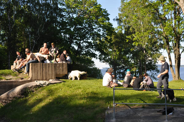 Ibland kan det vara svårt att fotografera befästningar. Här en av ställningar i batteriet på Husvik. Ibland kan det vara svårt att fotografera befästningar. Här en av ställningar i batteriet på Husvik.