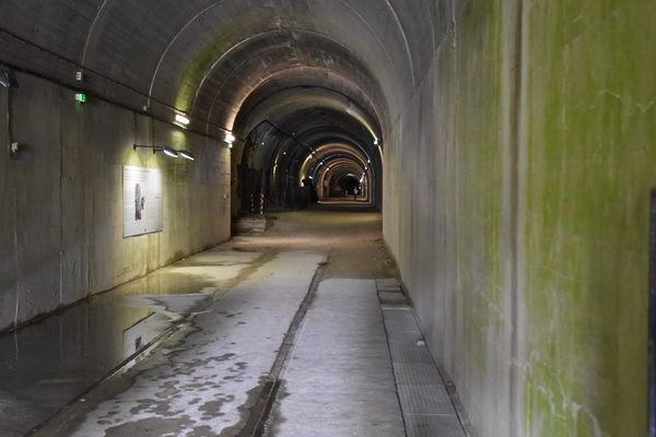 Början på tunneln innanför ingången.