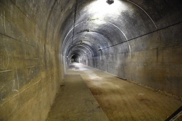 Huvudtunnlarna är av ordentlig storlek och långa.