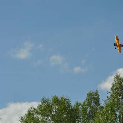 Vackert gult mot den blå himlen!