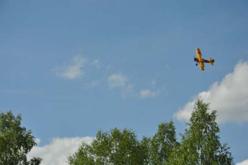 Vackert gult mot den blå himlen!