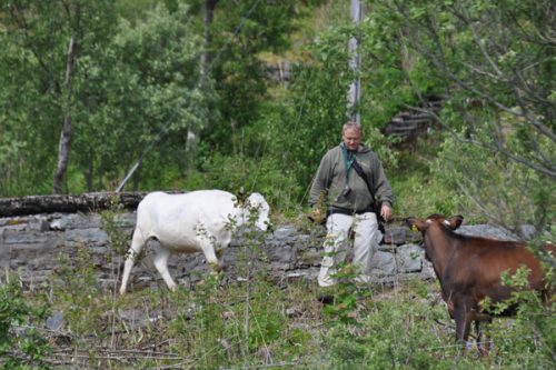 Kanske läge för Bregott-reklamen?