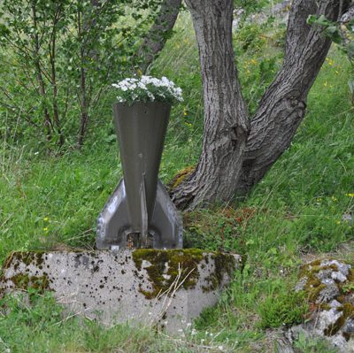 Blommande bomber vid Hysnes museum.